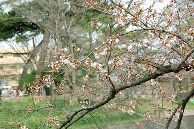 b0079661_12274389.jpg