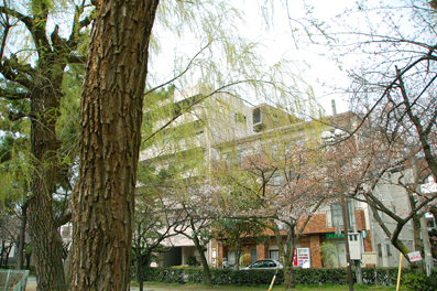 b0079661_12484523.jpg