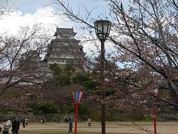 姫路城と大阪城の桜を愛でるツアー220329_d0048366_15441794.jpg