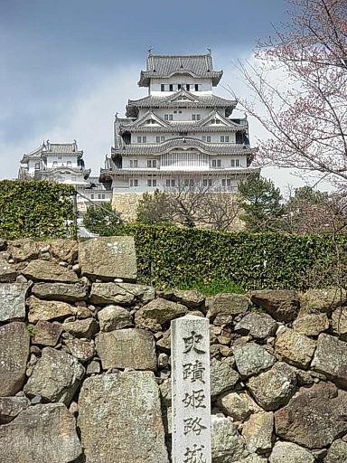 姫路城と大阪城の桜を愛でるツアー220329_d0048366_16311736.jpg