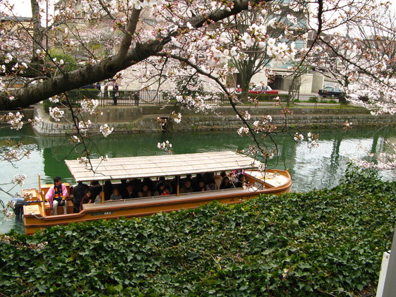 a0114469_1915535.jpg