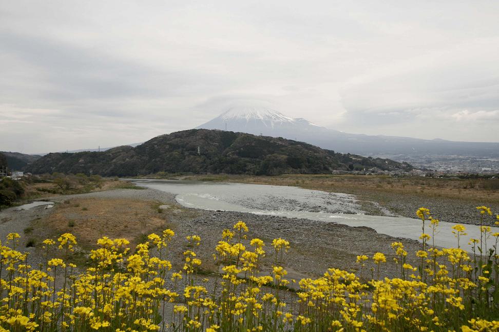 だいり 「富士山スゲ~!登りたい!」_a0107574_20262448.jpg