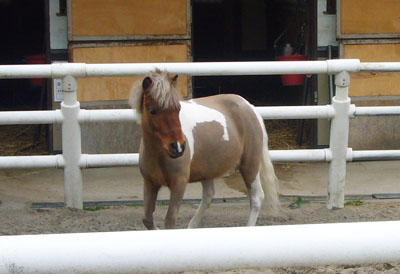 e0067674_14405619.jpg