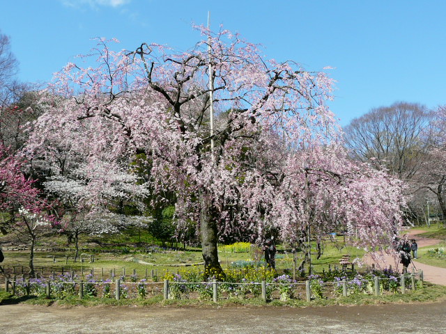 三つ池公園_e0145782_7233098.jpg