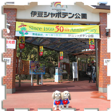 2010年3月21日　伊豆旅行1日目_b0024183_2222398.jpg