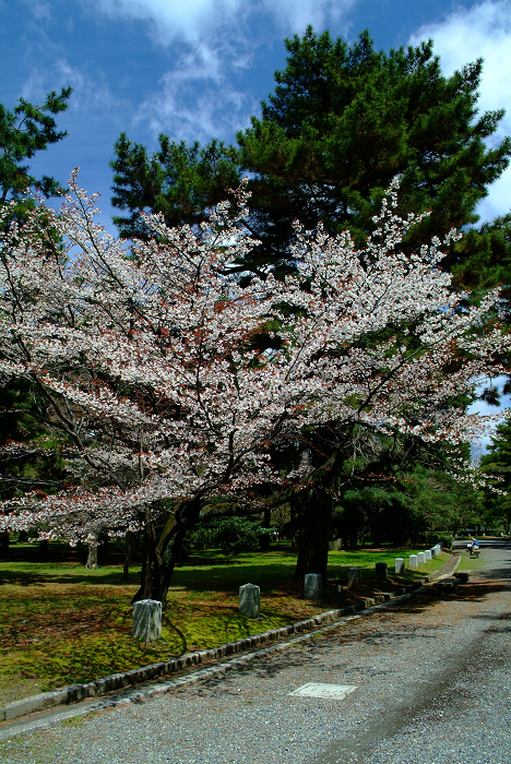 b0187886_22142.jpg