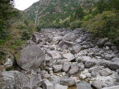 c0171889_1518069.jpg
