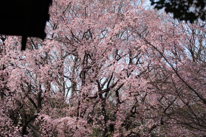 f0164989_019117.jpg