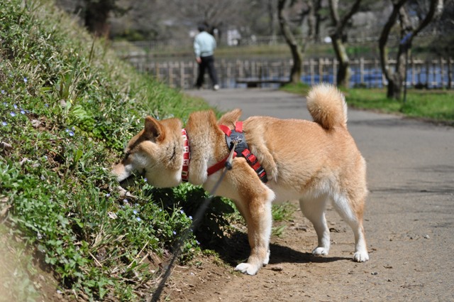 亀のようにゆったりと・・・_a0126590_2213140.jpg