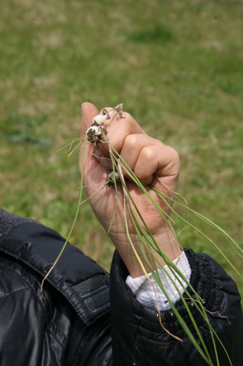 f0128092_6323054.jpg