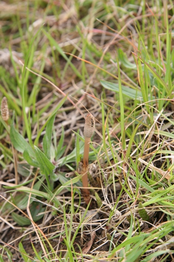 f0128092_632429.jpg