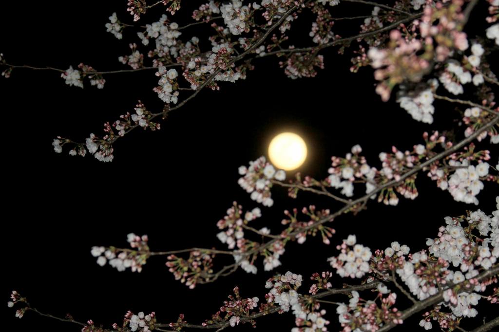 b0024798_548107.jpg