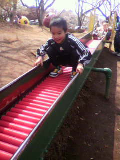 c0090100_158579.jpg