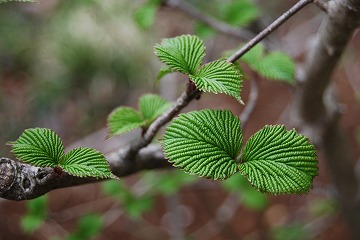 c0124100_23492894.jpg
