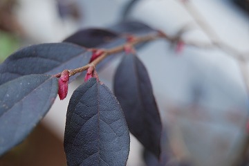 c0124100_23502559.jpg