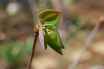 c0124100_23535521.jpg