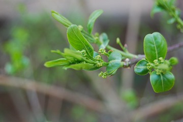 c0124100_2353764.jpg
