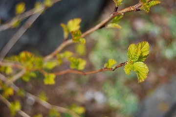 c0124100_23553040.jpg