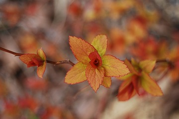 c0124100_23561154.jpg