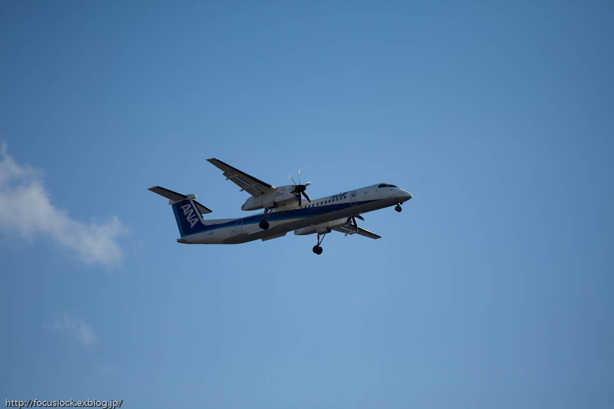 f0220502_2354443.jpg