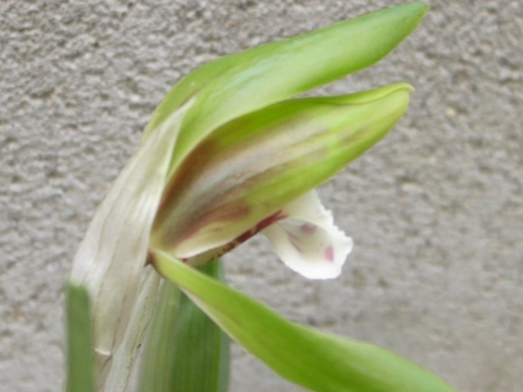 f0223603_17272899.jpg