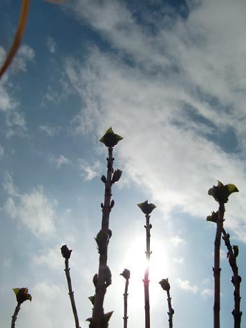 花より団子_a0122205_19173523.jpg