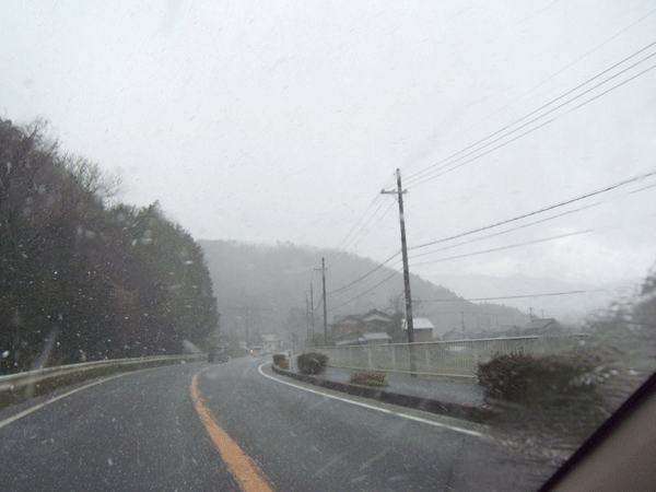 b0159611_042519.gif