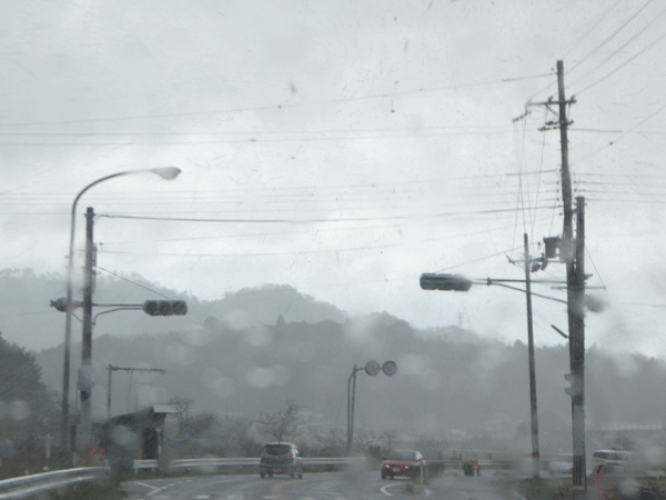 b0159611_043482.gif