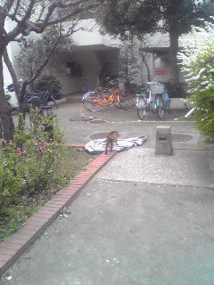 a0113612_11104378.jpg