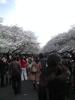 f0051220_238209.jpg