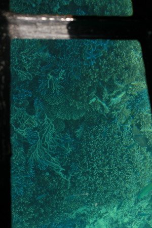 f0097620_2324368.jpg
