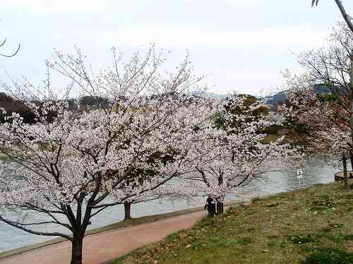 花の駕与丁公園を歩く_b0008825_11211623.jpg