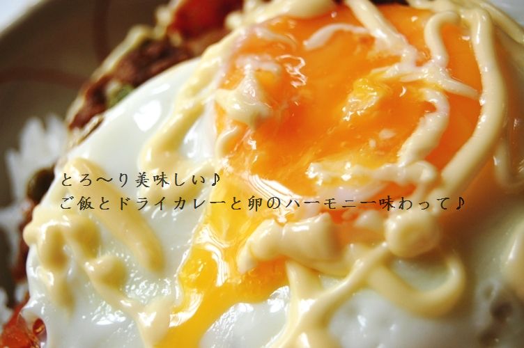 和風ドライカレー卵のっけ丼 & 行ってきま~す☆_d0104926_2282513.jpg