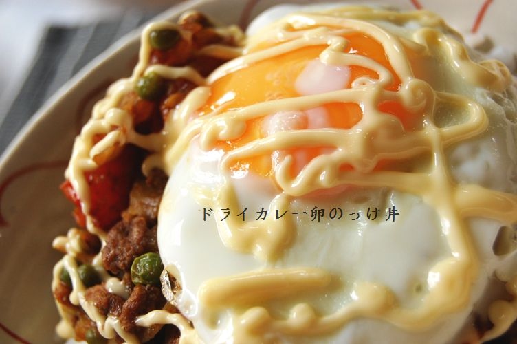 和風ドライカレー卵のっけ丼 & 行ってきま~す☆_d0104926_228363.jpg