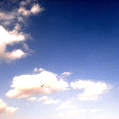 Flying 空を飛ぶもの 松野勉 相澤久美 Life Shelter Associates