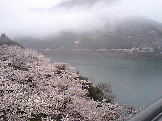 a0132631_2371364.jpg