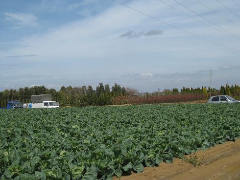c0217931_1615617.jpg