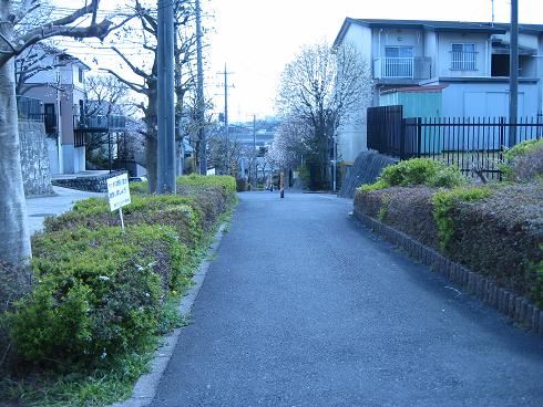 c0217931_163423.jpg