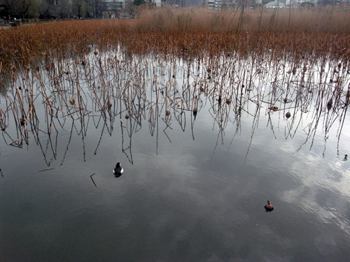 To where..._d0108333_1534469.jpg