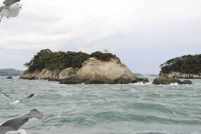 e0064133_065861.jpg