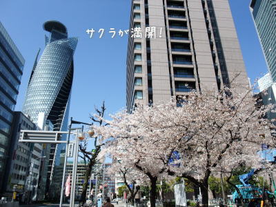 最後の目的地・・・名古屋のモーニング_f0023333_1119173.jpg