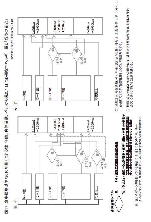 「日本人の食事摂取基準」活用検討会報告書_a0007242_8285257.gif