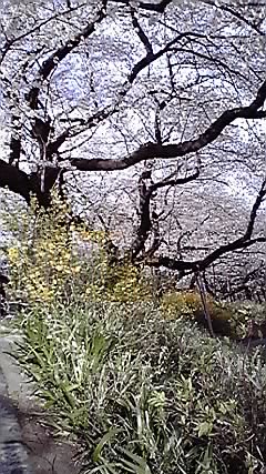b0132442_1955997.jpg