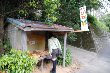 f0229844_21384374.jpg