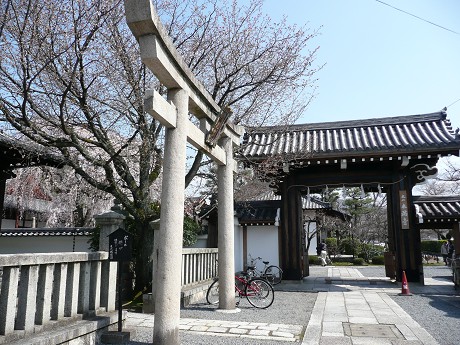 京の桜めぐり～平野神社・千本釈迦堂・本満寺_c0057946_20131384.jpg