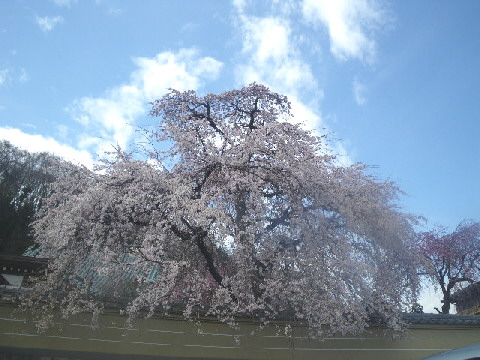 e0069647_16344378.jpg