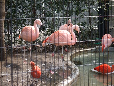行船公園・自然動物園_e0158355_20561636.jpg