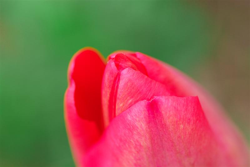 a0117056_164328.jpg