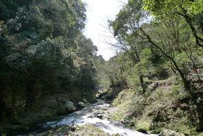 b0070756_22521.jpg