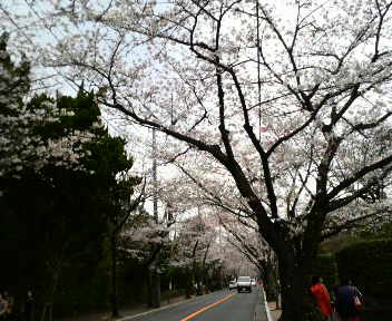 f0198056_9282197.jpg